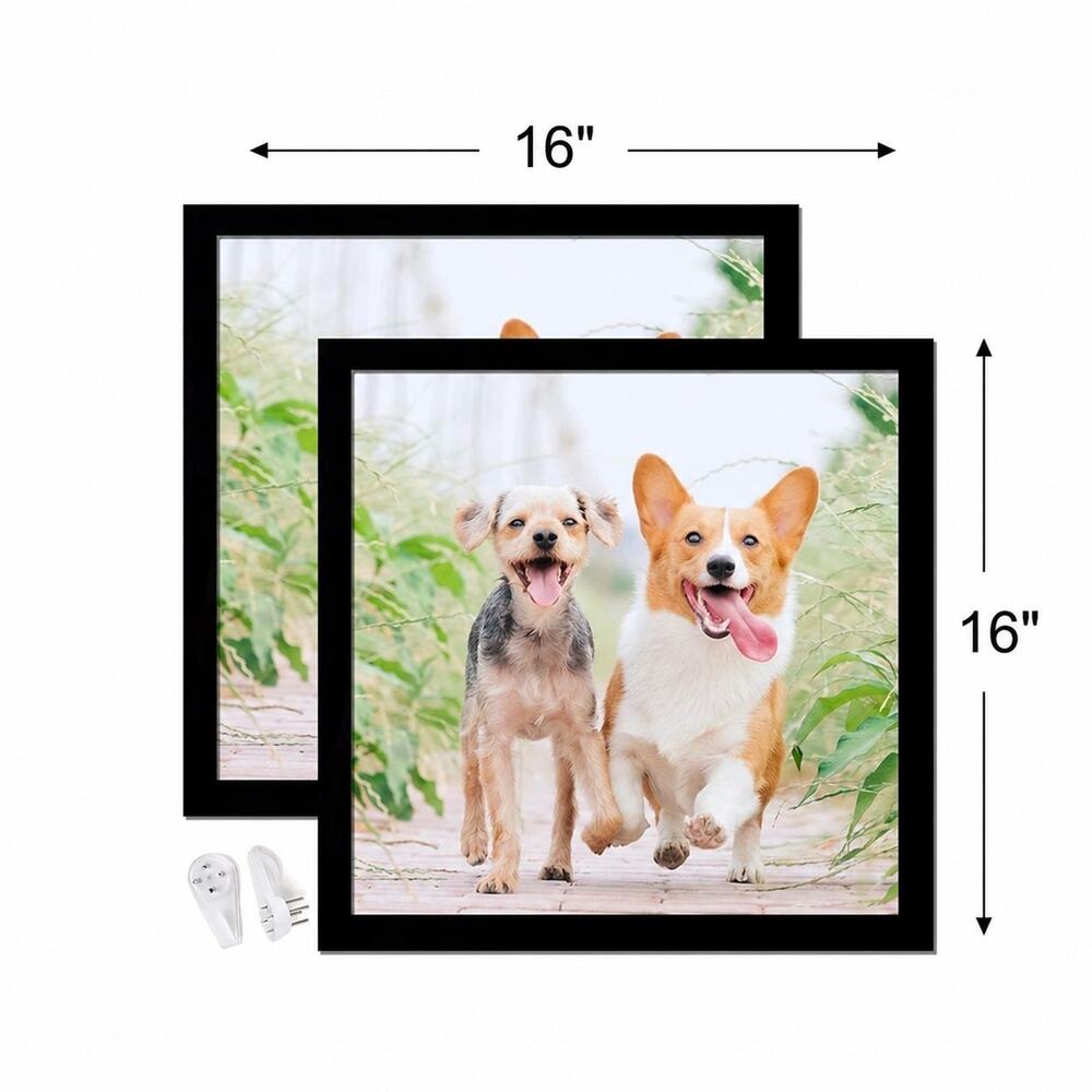 Black 16"x16"Picture Frame Set of 2, High Transparent Picture Frames